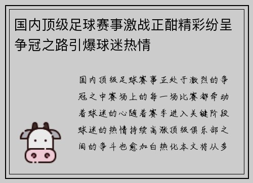 国内顶级足球赛事激战正酣精彩纷呈争冠之路引爆球迷热情