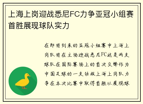 上海上岗迎战悉尼FC力争亚冠小组赛首胜展现球队实力