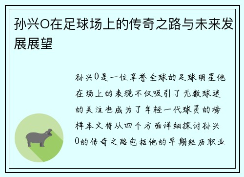 孙兴O在足球场上的传奇之路与未来发展展望