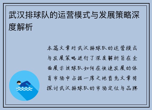 武汉排球队的运营模式与发展策略深度解析